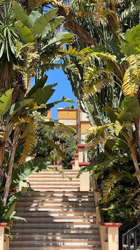 Oleholidays 547 Romana Playa Vistas Al Mar * Marbella